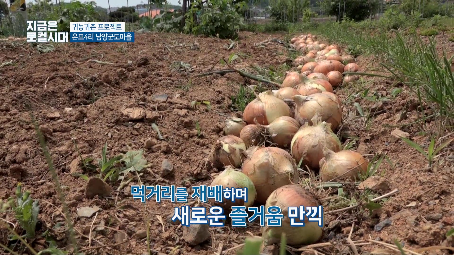 [귀농귀촌 프로젝트] 7회 주교면 은포4리 남양군도마을